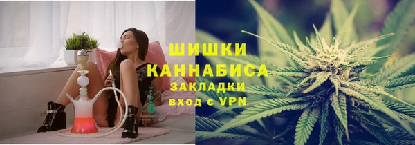 мдпв Россошь