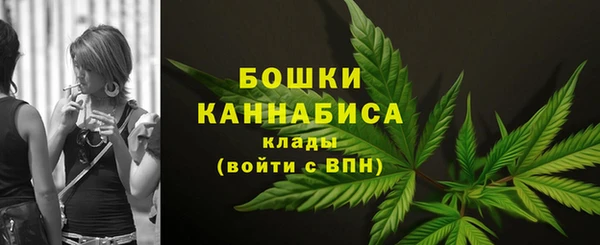 прущие крисы Куровское