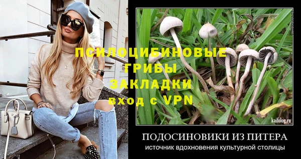 мдпв Россошь