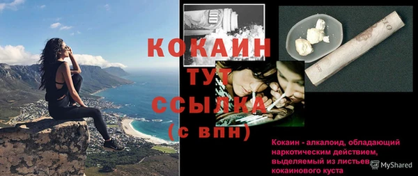 мдпв Россошь