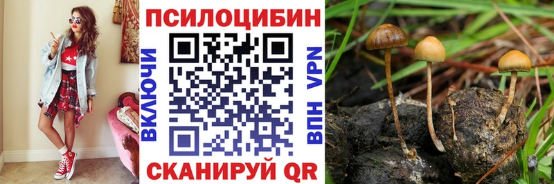 купить   hydra ссылки  Псилоцибиновые грибы ЛСД  Фурманов 