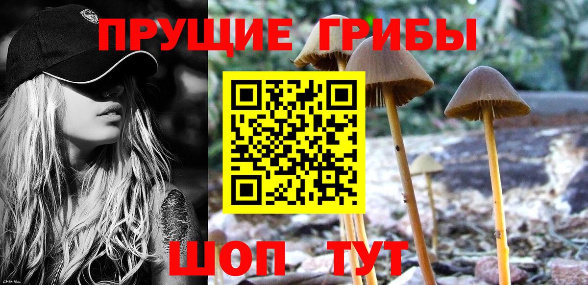 Псилоцибиновые грибы MAGIC MUSHROOMS Фурманов
