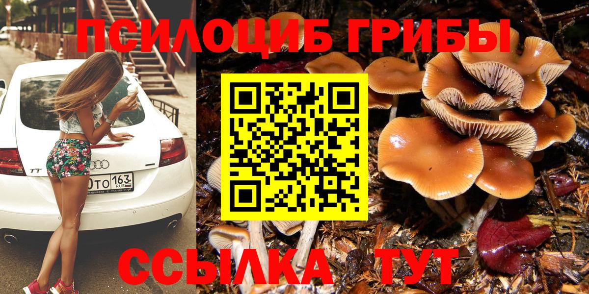 Фурманов  где можно купить   Галлюциногенные грибы GOLDEN TEACHER  Вход с VPN  Псилоцибиновые грибы прущие грибы 